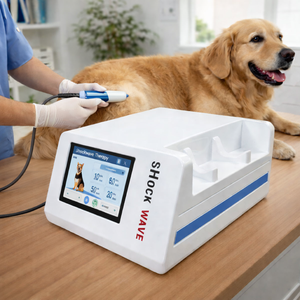 Macchina per Terapia ad Onde d'Urto per Animali Domestici, Attrezzatura per Fisioterapia e Sollievo dal Dolore, Terapia ad Onde d'Urto ESWT per Disfunzione Erettile - Product Image 3
