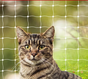 Red de protección <span class=keywords><strong>para</strong></span> <span class=keywords><strong>gatos</strong></span> red <span class=keywords><strong>para</strong></span> balcón 4x3 m 6x3 m 8x3 m Alambre de red <span class=keywords><strong>para</strong></span> <span class=keywords><strong>gatos</strong></span> negro reforzado con fijación - Product Image 2