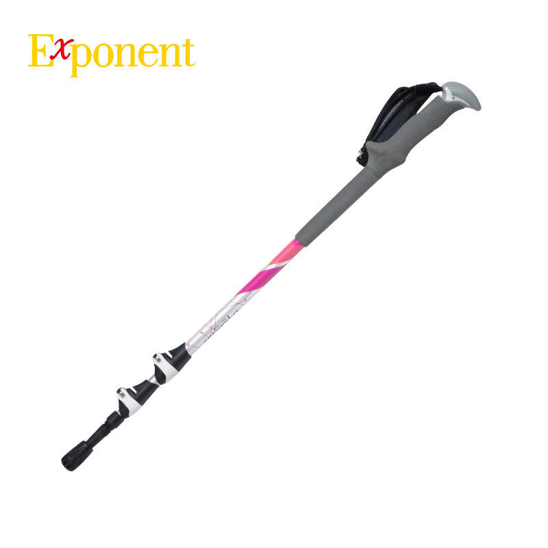 สีชมพู 240g