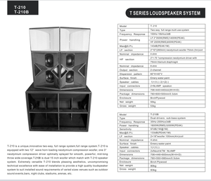Dj sistema de sonido al aire libre Powered Speaker Club doble 10 pulgadas pasivo pa sistema de altavoces - Product Image 6
