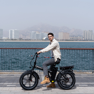 <span class=keywords><strong>Bicicleta</strong></span> <span class=keywords><strong>Eléctrica</strong></span> Plegable KOOLUX X11 de 20 Pulgadas con Marco de Aluminio, 250W, Baterías Dobles de 23.4ah, <span class=keywords><strong>Bicicleta</strong></span> Urbana de Alta Velocidad, Certificación CE, Disponible en Almacén del Reino Unido - Product Image 6