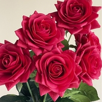 Dekorative Einzelne Latex-Rosen mit Echtseitiger Haptik, Künstliche Blumen für Hochzeit, Valentinstag, Dekoration und Fotografie-Requisiten