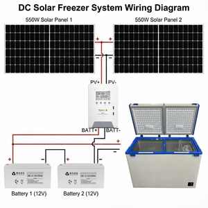 Fabricant de congélateurs solaires à coffre 12V 24V 50L 100L 150L 200L 250L 350L 500L, congélateur alimenté en courant continu, gamme de capacités complètes - Product Image 2