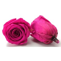 Lot de 10 têtes de roses éternelles éco-responsables, grade B, 4 cm, rose vif, pour remise de diplôme et Pâques