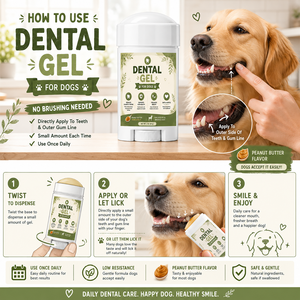 Gel de soin buccal <span class=keywords><strong>pour</strong></span> animaux de compagnie OEM/ODM, pâte dentaire postbiotique <span class=keywords><strong>pour</strong></span> chiens et chats, sans brosse, rafraîchisseur d'haleine - Product Image 1