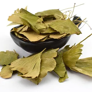 Vente de gros Spice Yin xing ye Feuille de ginkgo biloba séchée en vrac à base de plantes saines