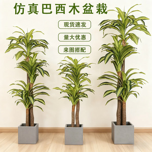 Plante artificielle en bois brésilien Dream Castle, 100-200 cm, décoration de sol intérieure, verdure bionique en pot - Product Image 1