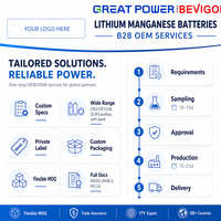 بطارية BEVIGOR 2/3A CR123A 3V 1500mAh ليثيوم-منغنيز أسطوانية للمقاييس والأجهزة الأمنية والطبية وأجهزة التتبع المنزلية والساعات والإلكترونيات