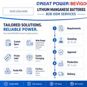 Batterie cylindrique BEVIGOR 2/3A CR123A 3V 1500mAh Li-MnO2 pour compteur, dispositif médical, dispositif de suivi domestique, horloges, électronique - Product Image 6