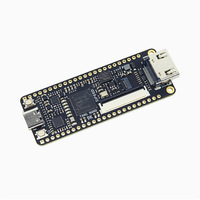 Carte de développement Linux Tang Nano 9K Pico RV1103 avec processeurs Cortex-A7 RISC-V MCU NPU ISP, interface Type-C, carte FPGA 9K