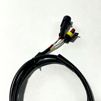 Kabel Harness Otomotif Tahan Air Khusus, Kabel Konektor AMP/Tyco 2 Pin Male-Female, Selubung Kepang untuk Refrigerasi