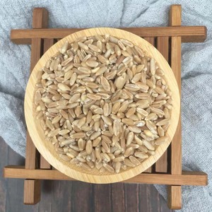 Fructus Tritici <span class=keywords><strong>Levis</strong></span>, Trigo Flotante, Trigo Claro, Hierba Medicinal China Seca Fu Xiao Mai, en Venta - Product Image 2