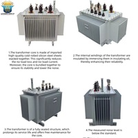 Transformateur de distribution triphasé immergé dans l'huile série S11 10-2500 kVA