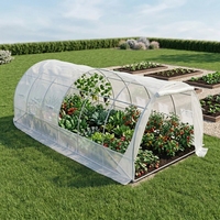 Serre agricole 6x3m avec couverture en PE robuste et structure en acier, pour l'extérieur, idéale pour les légumes, les plantes et les fleurs