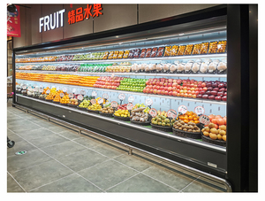 Refrigerador y Congelador Vertical Comercial de Gran Capacidad, Vitrina Exhibidora FMG, Congelador Vertical, Refrigerador Vertical - Product Image 4