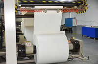 Meilleures ventes Prix usine Personnalisation flexible Matière première en rouleau FCL pour la fabrication de gobelets en papier jetables