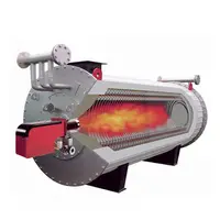 工業用自動天然ガス燃焼熱熱熱油ボイラー
