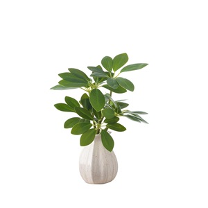 Planta Artificial CallaFloral Schefflera de 8 Cabezas, Verde, PVC, Decorativa para Interiores, Rama Individual - Product Image 5