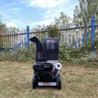 Fournisseur Premium Vente en Gros Broyeur à Bois Rapide Personnalisé Utilisation Agricole et de Jardin Broyeur de Branches 9HP  SPY8