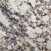 Dalle de marbre Calacatta Viola Newstar Factory avec veines noires, polie, imperméable, carrelage pour plan de travail de cuisine