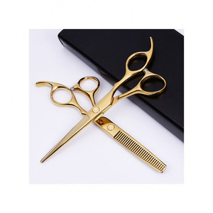 Ciseaux de coiffure professionnels Golden Dragon Corée pour lavage et coupe de cheveux, avec support de rangement 1 sac - Product Image 1