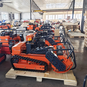 Cortadora de Césped con Control <span class=keywords><strong>Remoto</strong></span>, Todoterreno, para Agricultura, Industrial, con Motor Diésel de 800mm, 1000mm, 1200mm, Certificación CE y EPA - Product Image 3