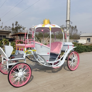 Cinderella en Venta: Carruaje y Caballo Eléctrico de Lujo para Bodas, Estilo Princesa - Product Image 4