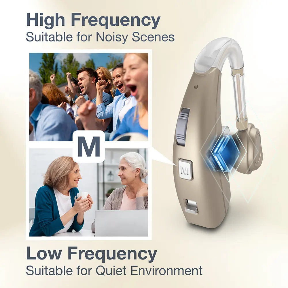 Perte auditive en gros à bas prix pour les aides auditives BTE rechargeables spéciales pour personnes âgées