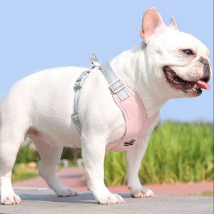 Arnés Ajustable Rosa para Perro, Correa de Pecho para Mascotas Pequeñas con Hebilla - Product Image 1