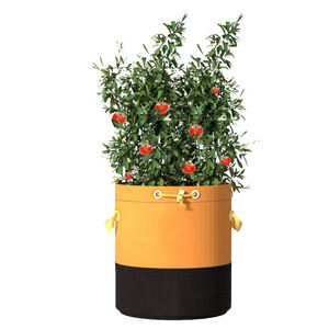 Sacs de culture extra larges <span class=keywords><strong>pour</strong></span> arbres fruitiers-Jardinières d'extérieur durables <span class=keywords><strong>pour</strong></span> pommes, agrumes, bleuets et légumes - Product Image 6