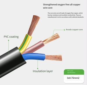 Holland <strong>Plug</strong> <strong>Insert</strong> 4.8MM 10/16A 2 Pin Black Multifunctional <strong>Euro</strong> Electrical Socket with 10A Copper Material - Product Image 6