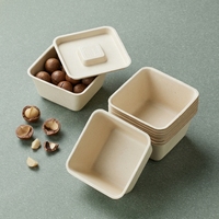 Boîtes alimentaires jetables écologiques en pulpe, emballages biodégradables pour pâtisseries et desserts, idéales pour les mochi glacés, les gâteaux de viande effilochée et les noix