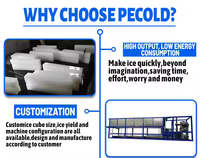 Machines à glaçons 500 kg 0,5 tonne, machine à glaçons en blocs et en flocons, machine à glaçons commerciale et industrielle pour entreprises, prix de vente