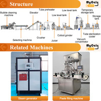 MY Ketchup Process Plant Line Petite machine de traitement de la pâte de tomate en conserve Ligne de production de sauce tomate