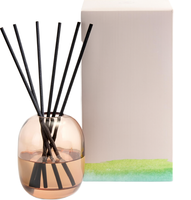 Ensemble diffuseur d'arômes en verre coloré en forme de dôme avec bâtonnets en rotin noir, parfum d'intérieur, logo personnalisé, vente en gros