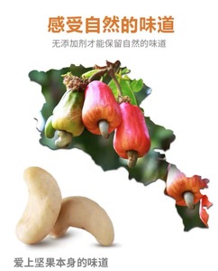 Hạt điều rang muối cao cấp W320 W240 1kg Gói ăn nhẹ Nguyên liệu và giá rẻ - Product Image 6