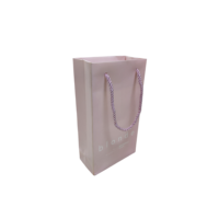 Machine à sacs en papier pour les robes Cadeau pour le logo Emballage Art Craft Tote Full Small Printed Shopping Own Paper Bag Machine