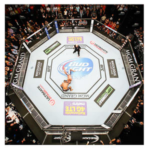 MMA ONEMAX weifang mma <span class=keywords><strong>cage</strong></span> <span class=keywords><strong>octagon</strong></span> kids fighting <span class=keywords><strong>cage</strong></span> la migliore gabbia mma - Product Image 5