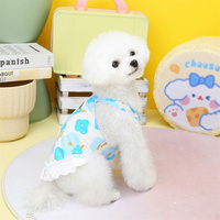 Robe de princesse pour chien à bas prix, en stock, vêtements pour animaux de compagnie, nouvelle collection printemps/été 23, robe florale romantique d'été