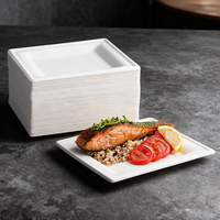Plateau de plaque de pulpe de canne à sucre rectangle jetable personnalisé plaque de rencontre de bagasse biodégradable pour la fête bonne vente dans les restaurants