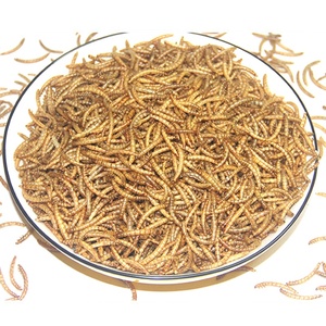 Mealworm-gusano amarillo de alta proteína, pájaro, Tortuga, hámster, aperitivo especial, <span class=keywords><strong>comida</strong></span> seca para pájaro, <span class=keywords><strong>comida</strong></span> para palomas - Product Image 2