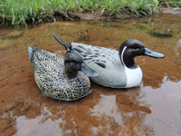 Leurre de Chasse Extérieur Modèle Anas Platyrhynchos, Canard Colvert Entièrement Floqué, Leurre Flottant en EVA, Canard Pilet pour Appels de Chasse