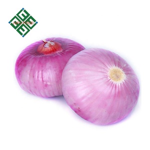 Экспорт Свежий маленький лук из Китая желтый лук красный лук - Product Image 4