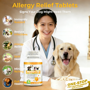 Suplemen Hewan Peliharaan Pengiriman Cepat Meredakan Kulit Kering & Gatal & Meningkatkan Sistem Imun Tablet Alergi Hewan Peliharaan dengan Omega 3 6 9 - Product Image 2