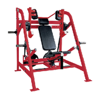 Vente directe usine : Appareil de musculation commercial de haute qualité à charge libre pour salle de sport, Machine à Pullover et Machine à Dips