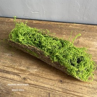 Fausse écorce d'arbre en plastique, mousse décorative pour aménagement intérieur/extérieur, racines d'arbres, plantes vertes, présentoirs muraux/suspendus au sol