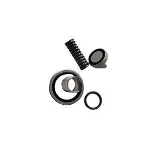 Kit de réparation Manny avec soupape de pression minimale en métal 2901139900 - Product Image 1