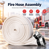 Tuyau d'incendie OEM de 1 pouce (25 mm) standard DIN, 40 mm, 100 mm, 110 mm, 3 po, 4 po, 20 m avec lance Storz Nakajima, enrouleur rétractable avec verrou de cabinet