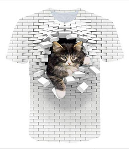 Ingrosso nuovo <span class=keywords><strong>Anime</strong></span> giapponese stampato T-Shirt a manica corta 3d digitale stampata girocollo T-Shirt Dropshiping - Product Image 6