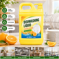 Liquide vaisselle jetable OEM écologique pour la maison et la cuisine, antibactérien, multi-usages, sûr, parfum citron gingembre 15-30%